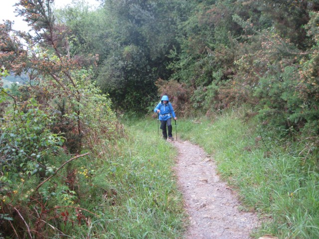 03A3C22E-C729-44AF-B3C3-62BF863914EE