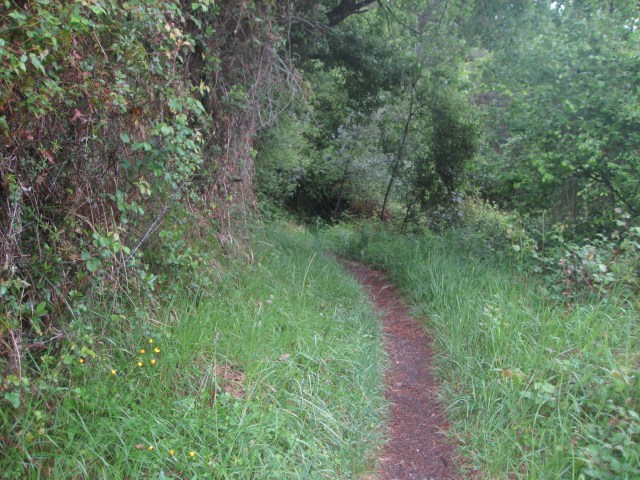 97D7262E-4CBB-42B6-9B12-4C7000D8A9CE