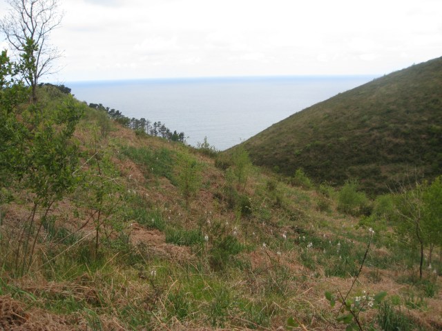 DF70966F-40E3-4101-B648-AF225AD8A421